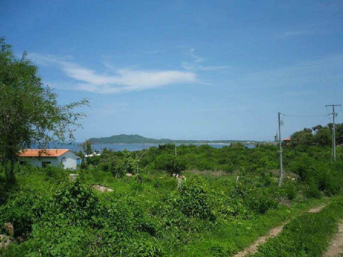 Picture of Other Commercial For Sale in Nayarit, Nayarit, Mexico