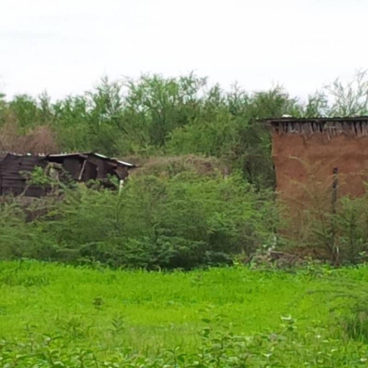 Picture of Residential Land For Sale in Suchiapa, Chiapas, Mexico