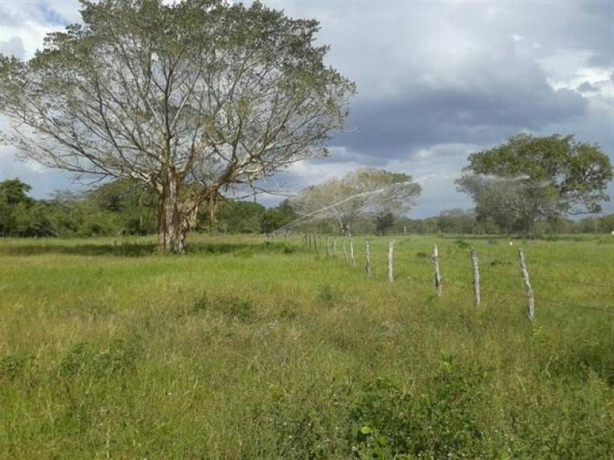 Picture of Residential Land For Sale in Sucila, Yucatan, Mexico