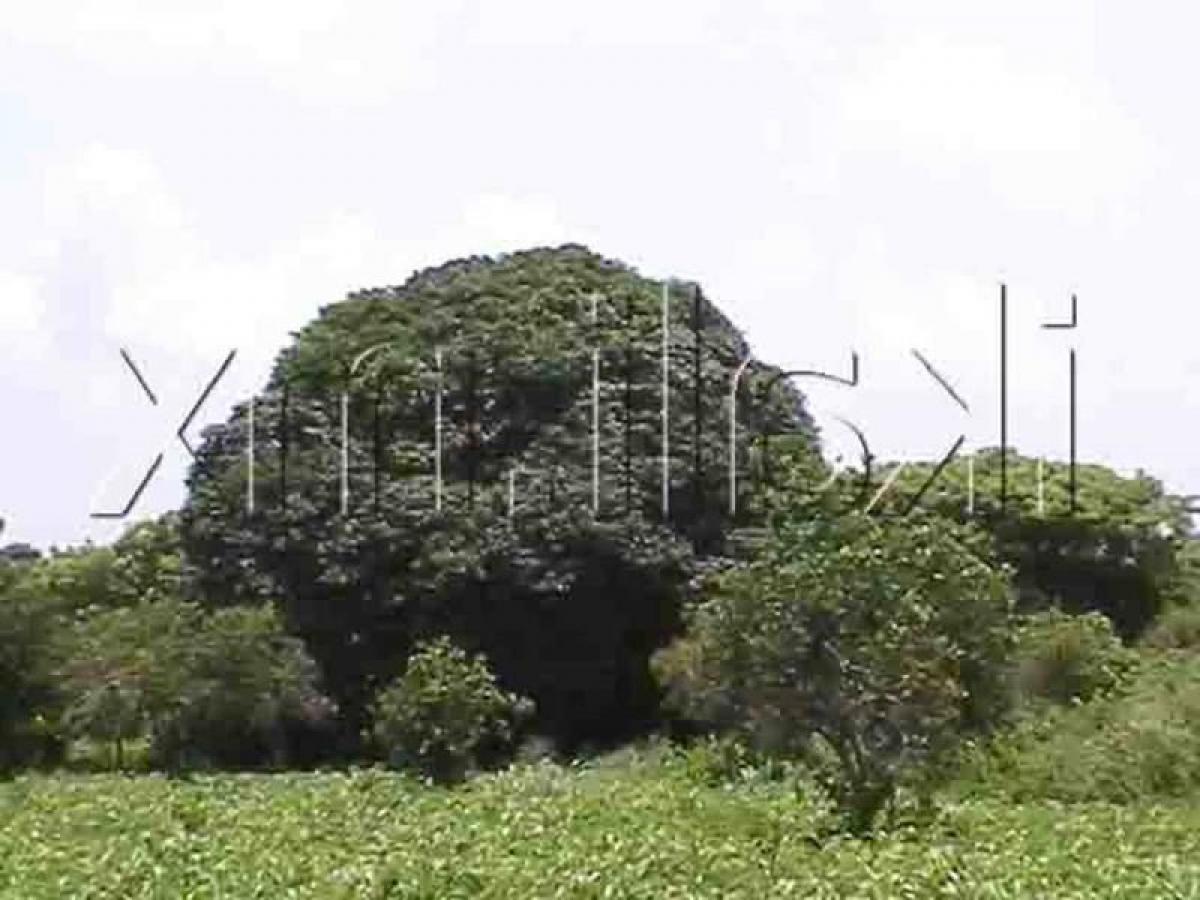 Picture of Residential Land For Sale in Veracruz De Ignacio De La Llave, Veracruz, Mexico
