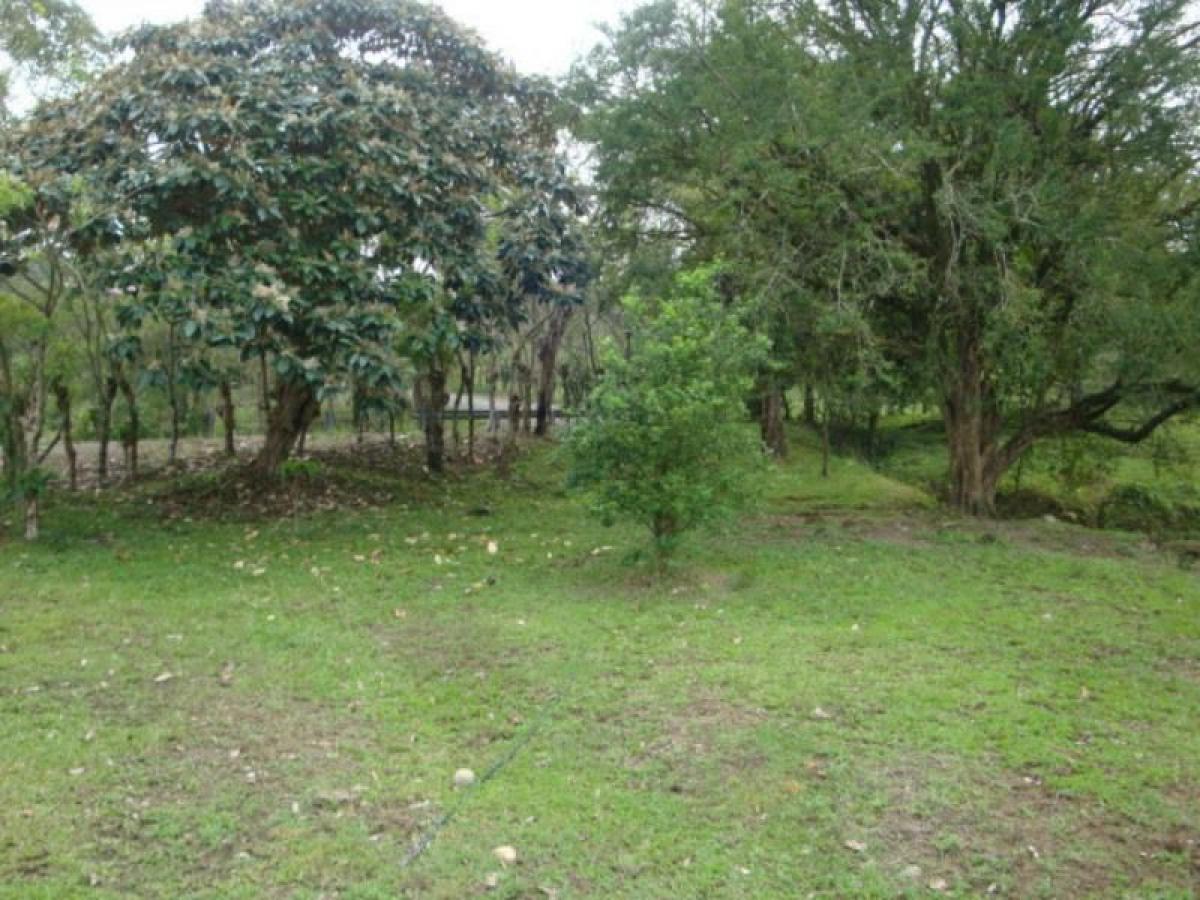 Picture of Residential Land For Sale in Ostuacan, Chiapas, Mexico