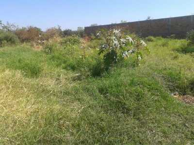Residential Land For Sale in Xochitepec, Mexico