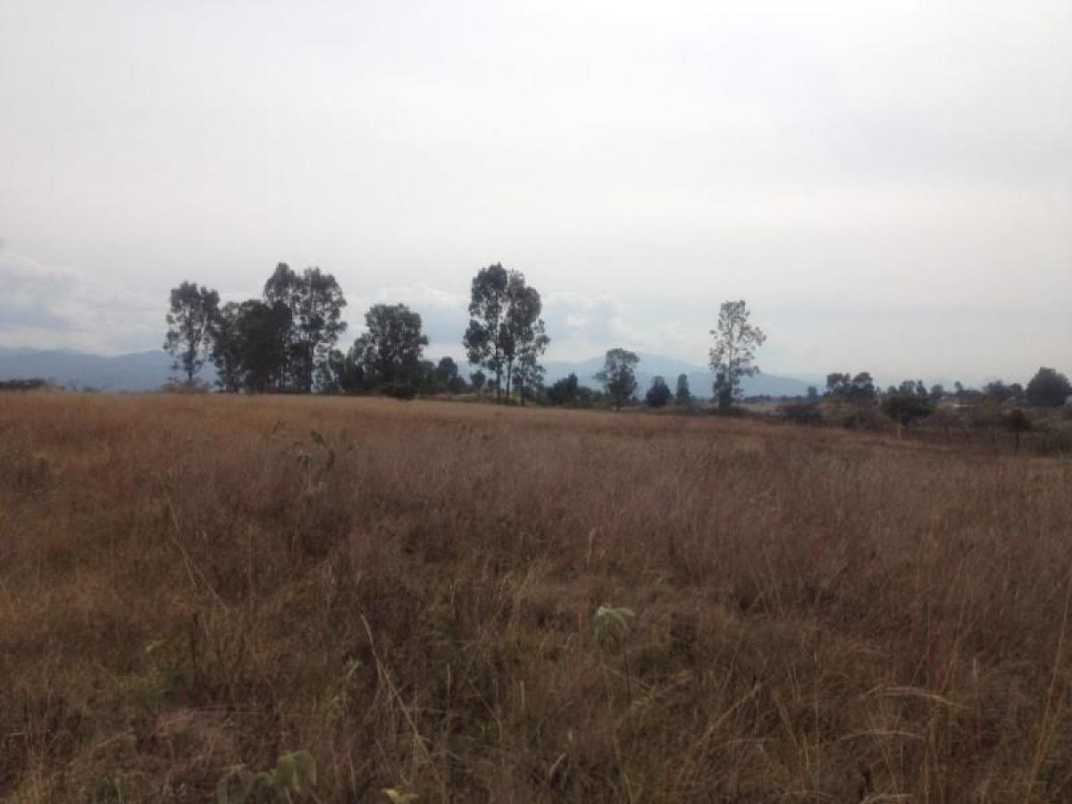 Picture of Residential Land For Sale in Ixtapan De La Sal, Mexico, Mexico