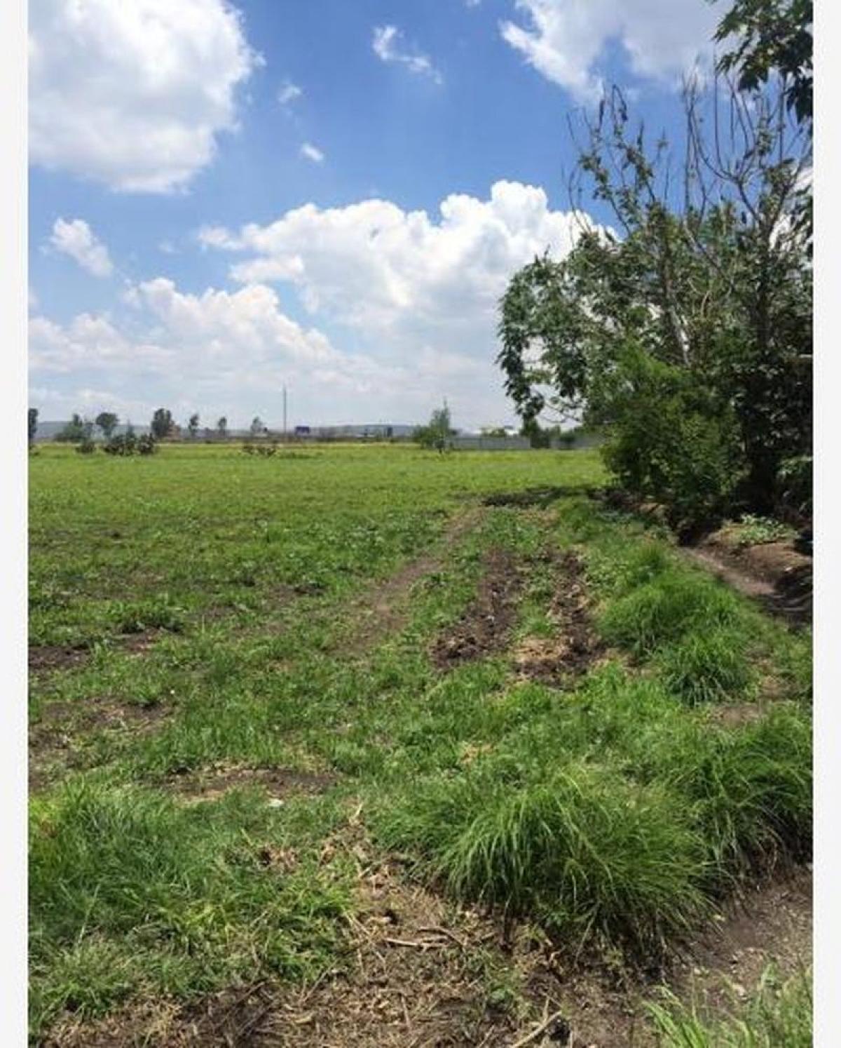 Picture of Residential Land For Sale in El Marques, Queretaro, Mexico