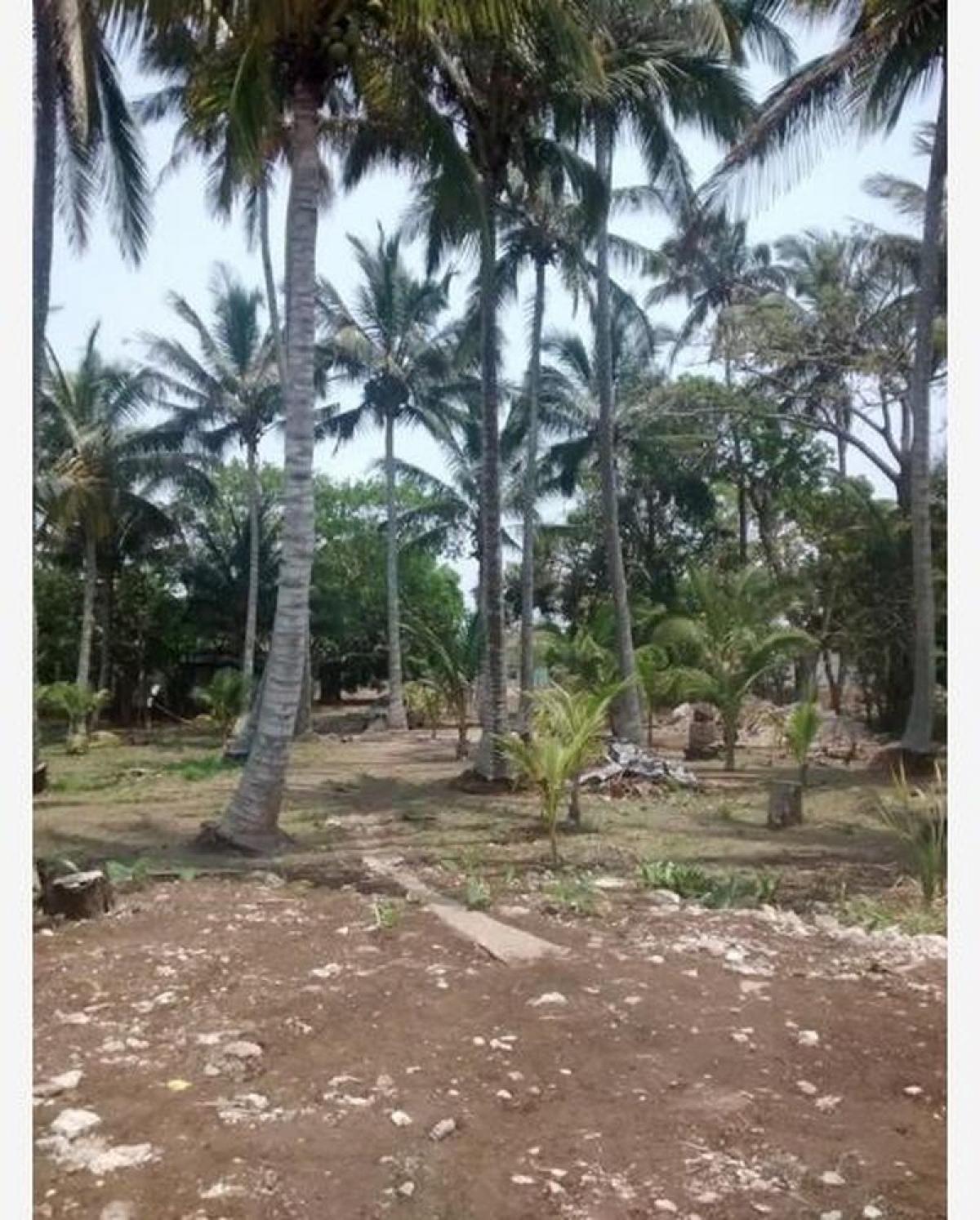 Picture of Residential Land For Sale in Veracruz, Veracruz, Mexico