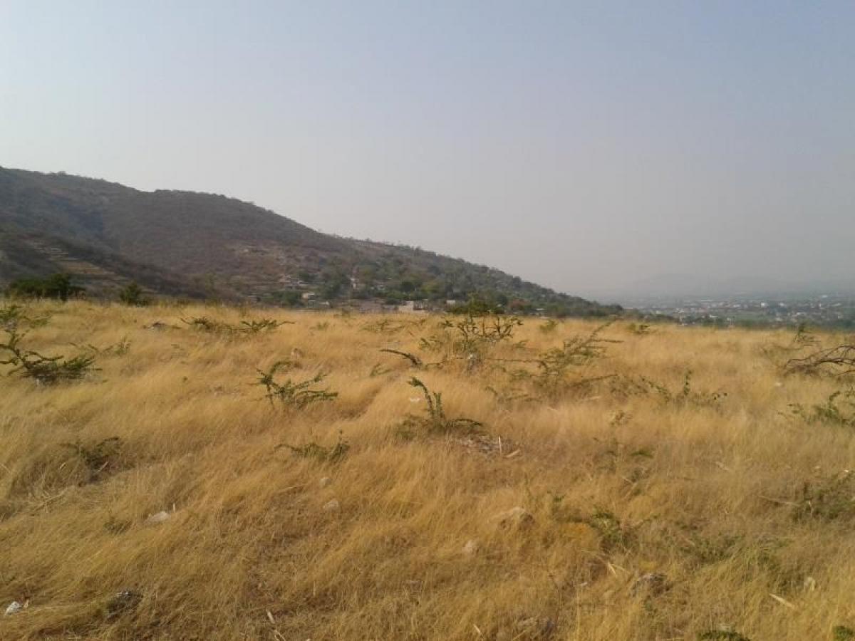 Picture of Residential Land For Sale in Jojutla, Morelos, Mexico