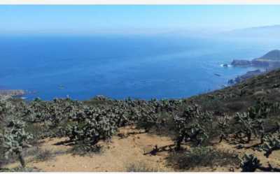 Residential Land For Sale in Ensenada, Mexico