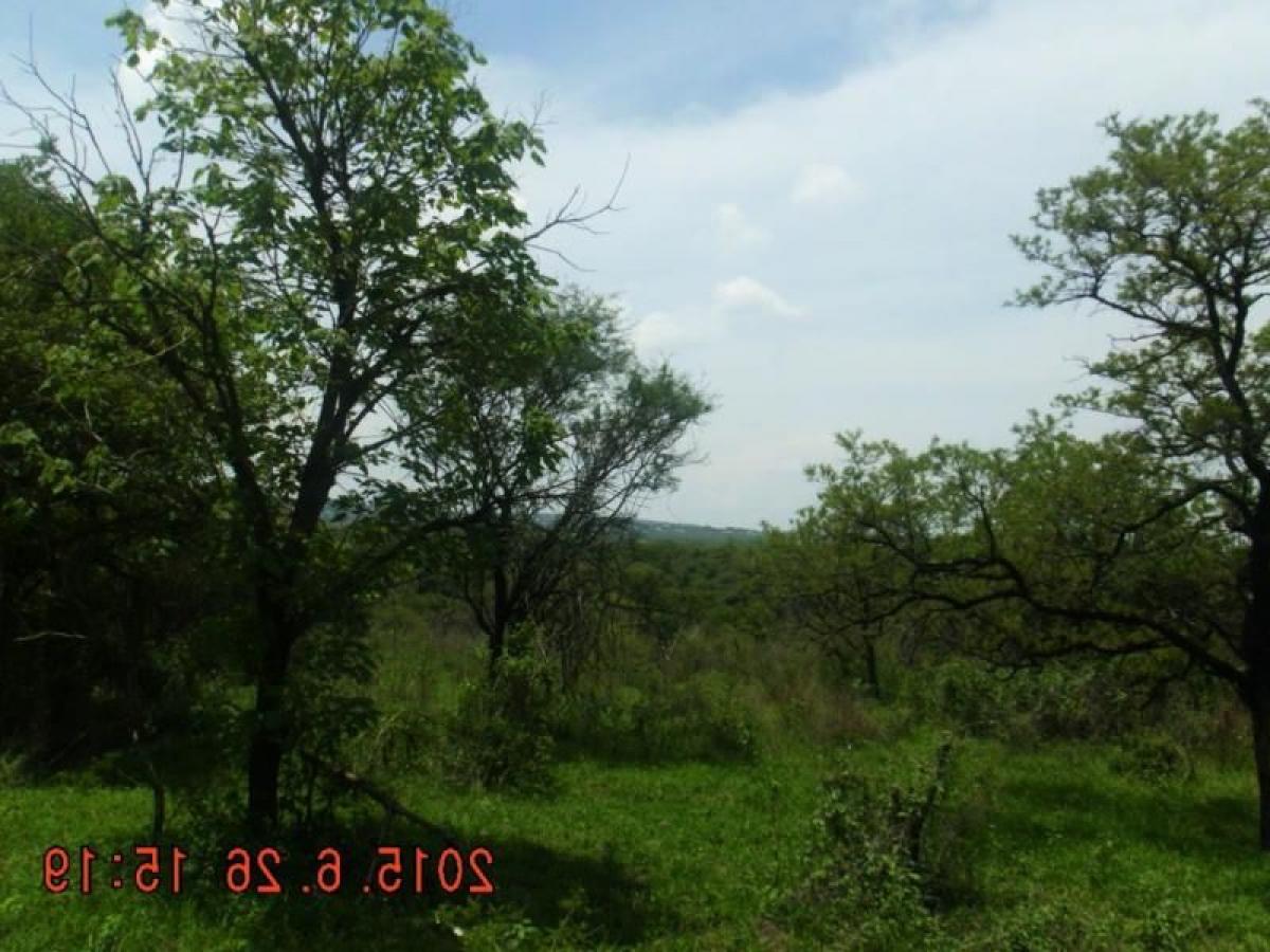 Picture of Residential Land For Sale in Zapotlanejo, Jalisco, Mexico