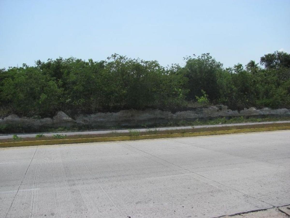 Picture of Residential Land For Sale in Othon P. Blanco, Quintana Roo, Mexico