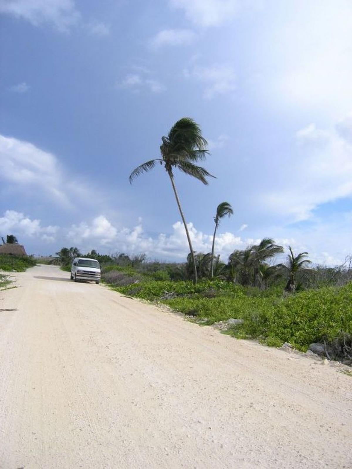Picture of Residential Land For Sale in Othon P. Blanco, Quintana Roo, Mexico