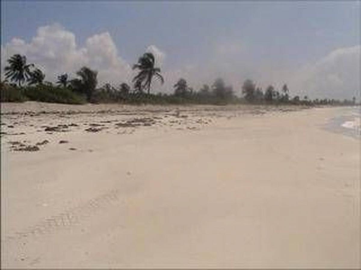 Picture of Residential Land For Sale in Othon P. Blanco, Quintana Roo, Mexico