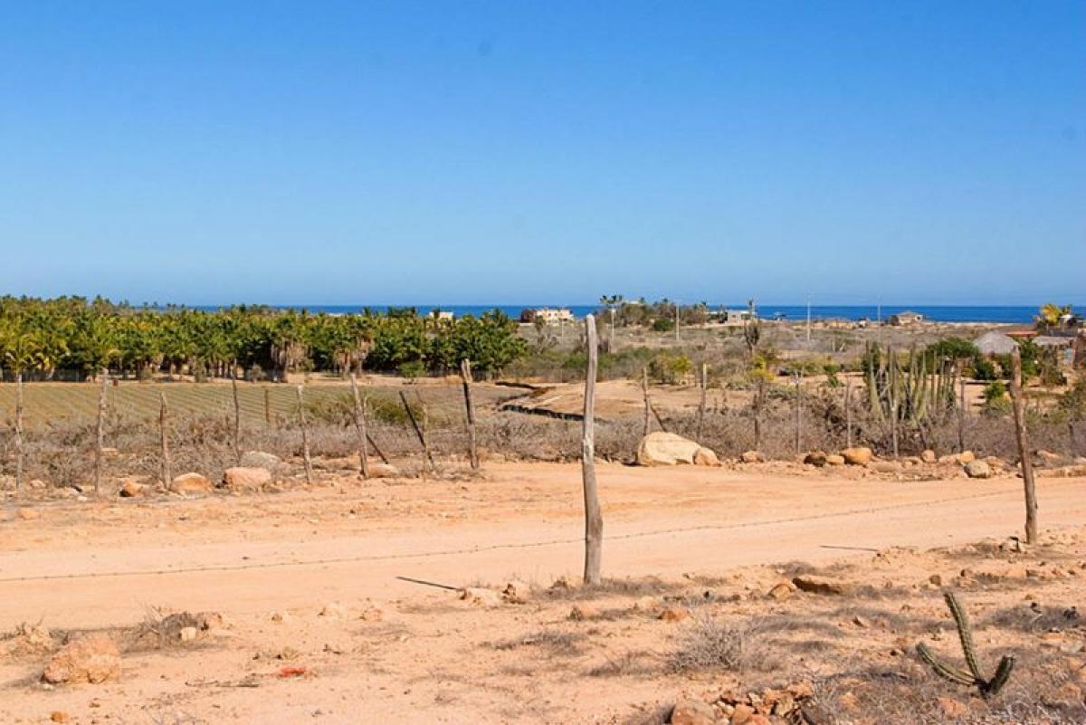 Picture of Residential Land For Sale in Baja California Sur, Baja California Sur, Mexico