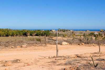 Residential Land For Sale in Baja California Sur, Mexico