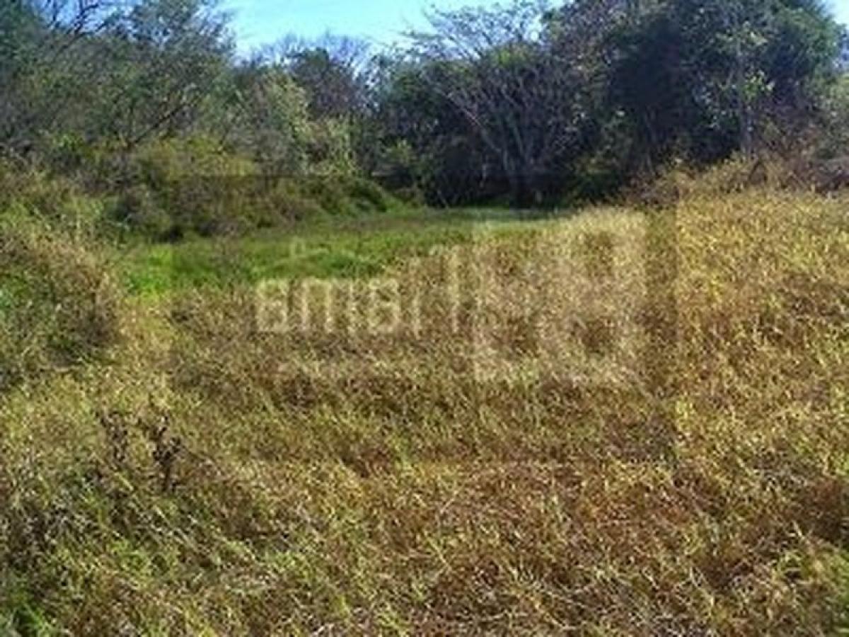 Picture of Development Site For Sale in Xalisco, Nayarit, Mexico