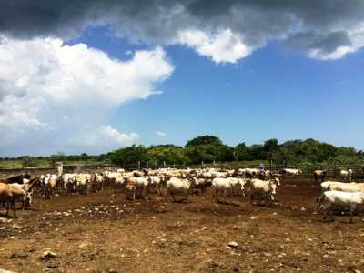 Development Site For Sale in Dzilam De Bravo, Mexico