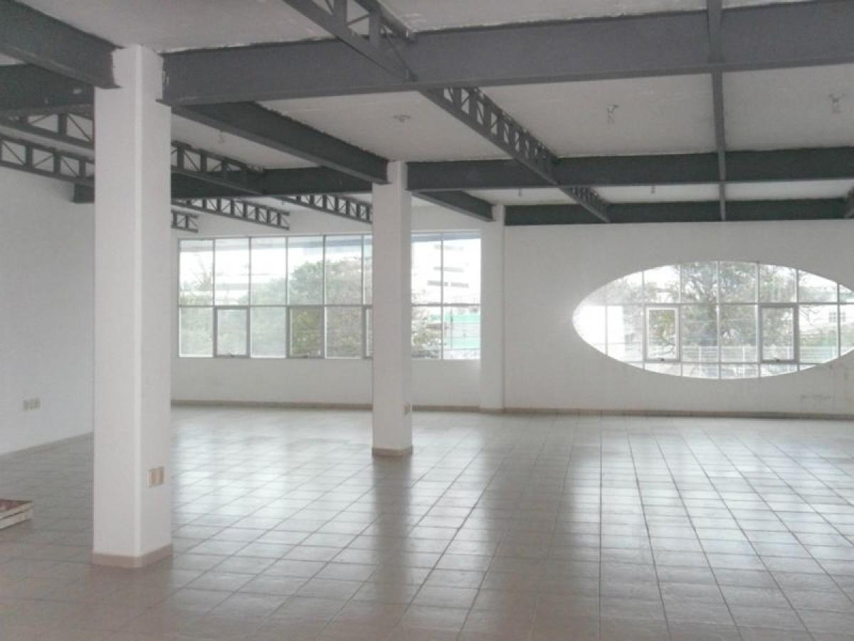 Picture of Office For Sale in Tijuana, Baja California, Mexico
