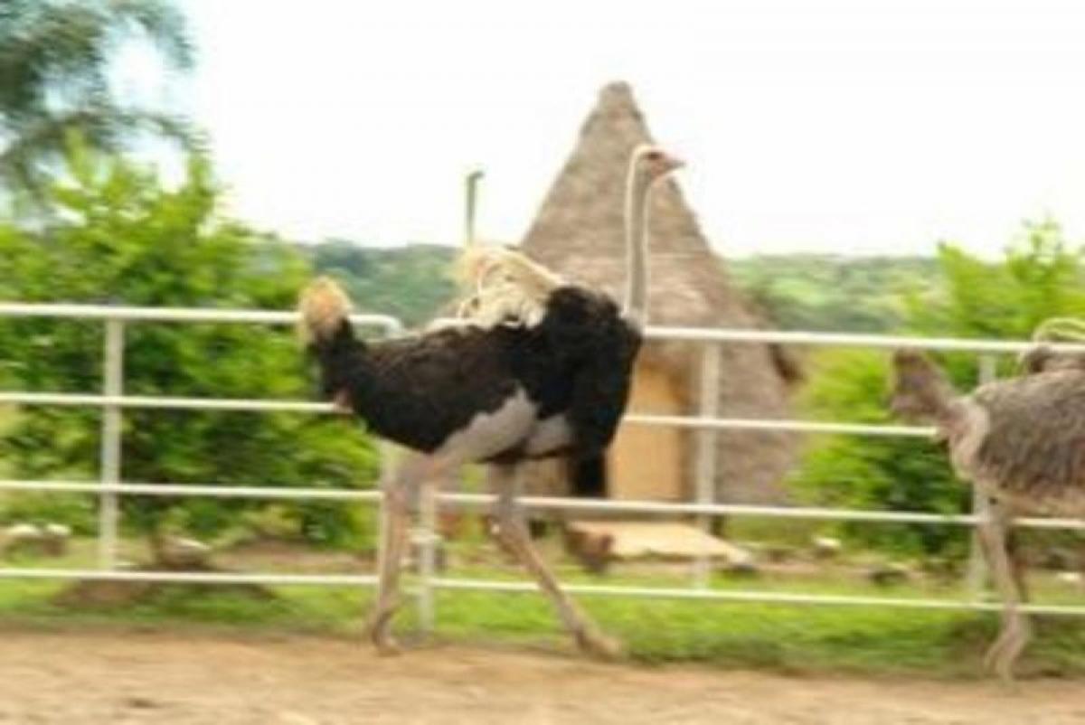 Picture of Development Site For Sale in Veracruz De Ignacio De La Llave, Veracruz, Mexico