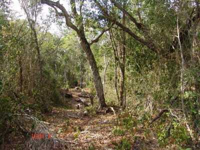 Residential Land For Sale in Quintana Roo, Mexico