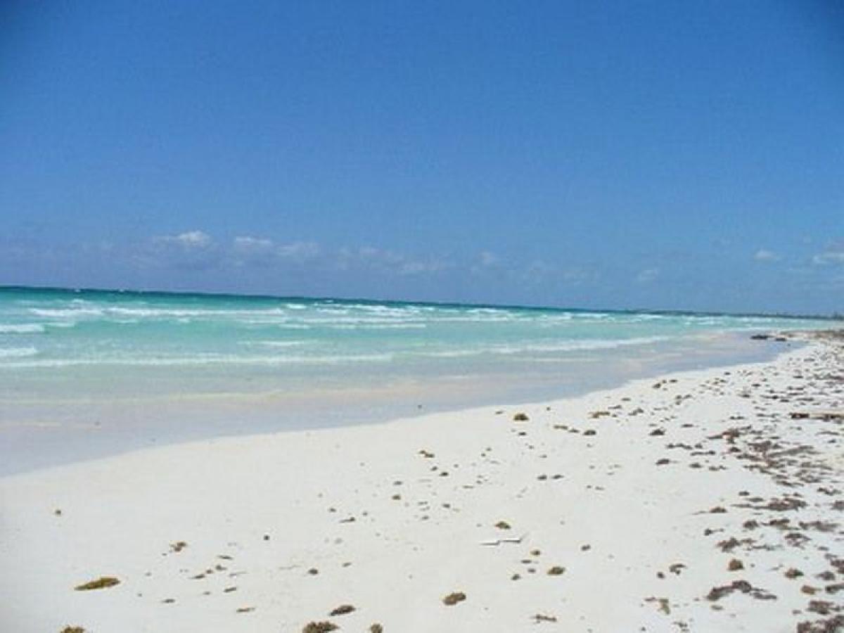 Picture of Residential Land For Sale in Othon P. Blanco, Quintana Roo, Mexico