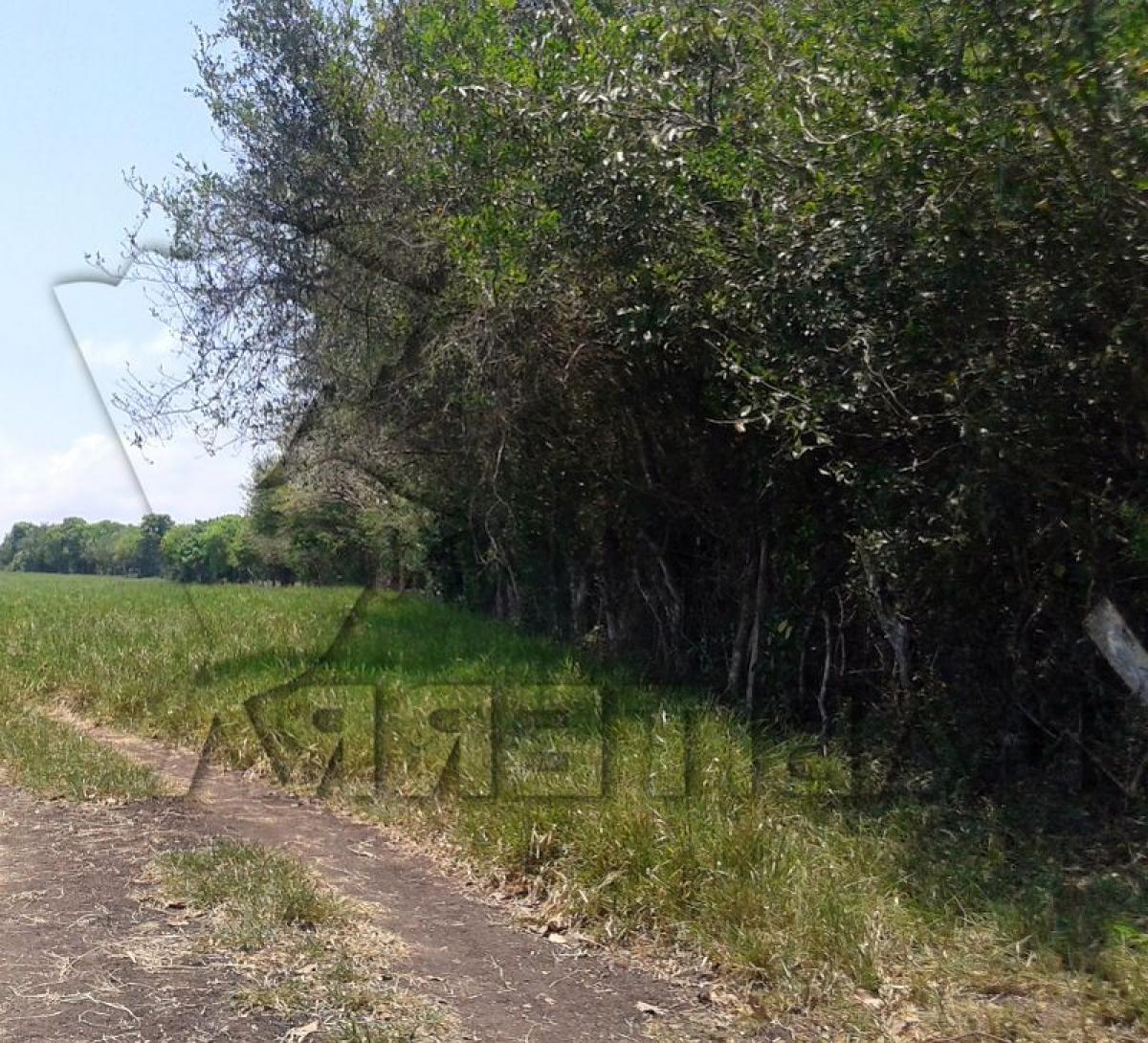 Picture of Development Site For Sale in Veracruz De Ignacio De La Llave, Veracruz, Mexico
