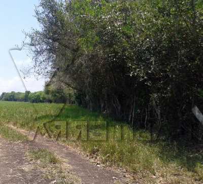 Development Site For Sale in Veracruz De Ignacio De La Llave, Mexico