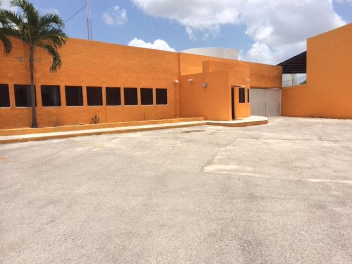 Picture of Office For Sale in Yucatan, Yucatan, Mexico