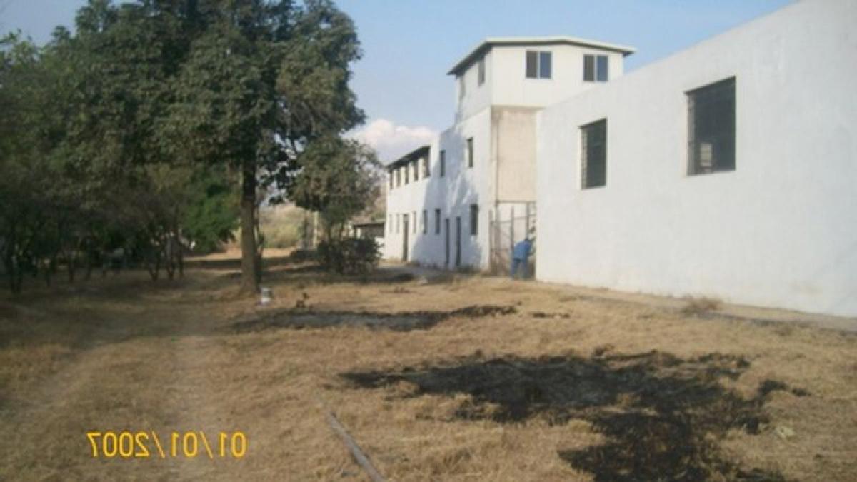 Picture of Penthouse For Sale in San Pedro Tlaquepaque, Jalisco, Mexico