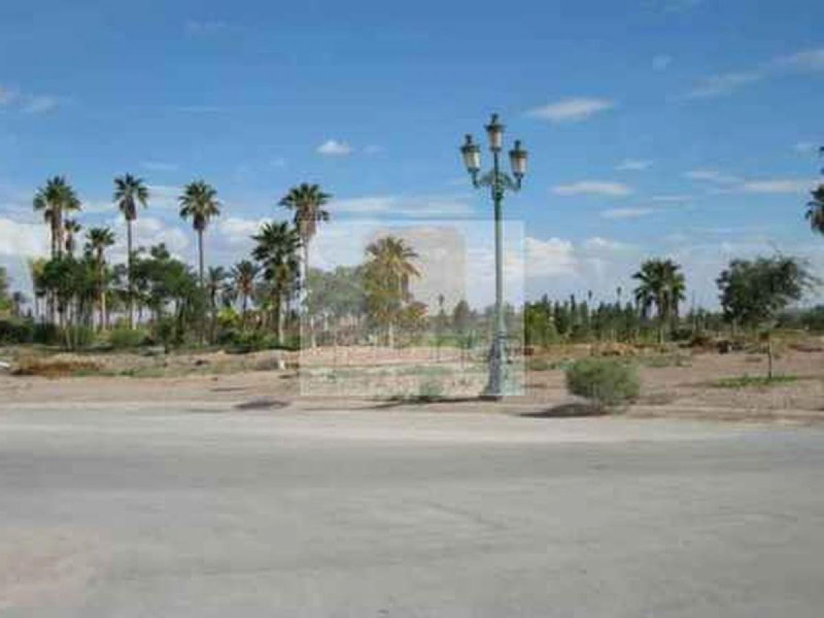 Picture of Residential Land For Sale in Playa Vicente, Veracruz, Mexico