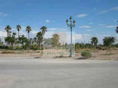 Residential Land For Sale in Playa Vicente, Mexico