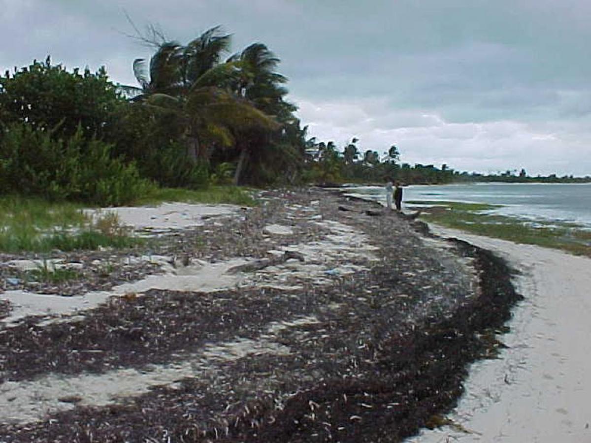 Picture of Residential Land For Sale in Solidaridad, Quintana Roo, Mexico