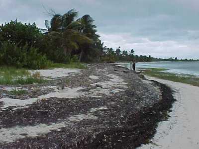 Residential Land For Sale in Solidaridad, Mexico