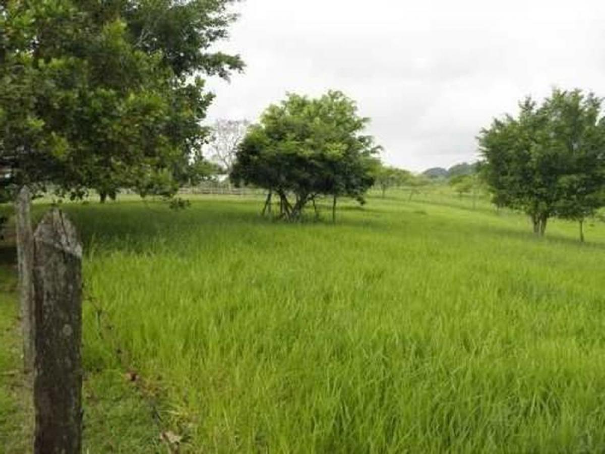 Picture of Development Site For Sale in Veracruz De Ignacio De La Llave, Veracruz, Mexico