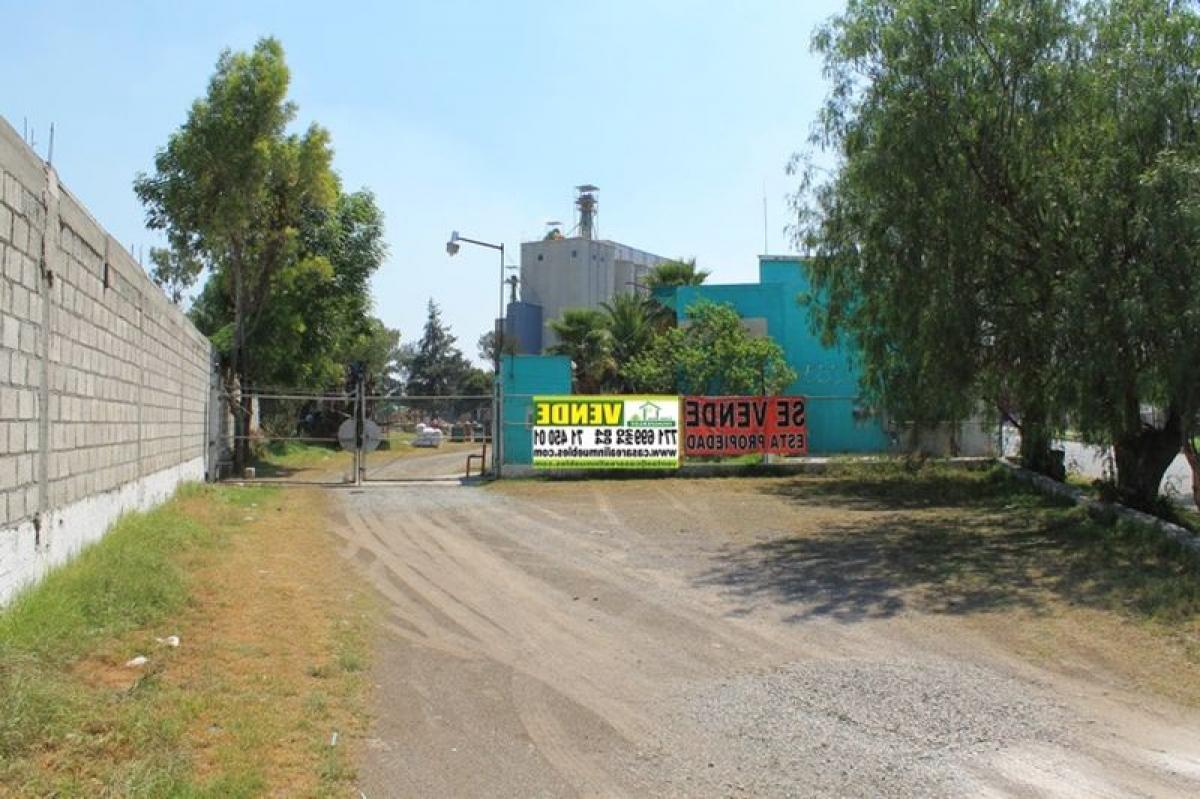 Picture of Other Commercial For Sale in Hidalgo, Hidalgo, Mexico