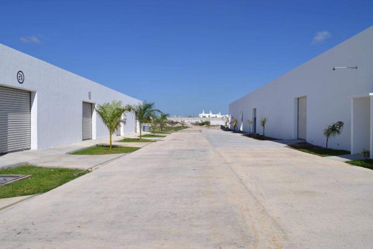 Picture of Penthouse For Sale in Merida, Yucatan, Mexico