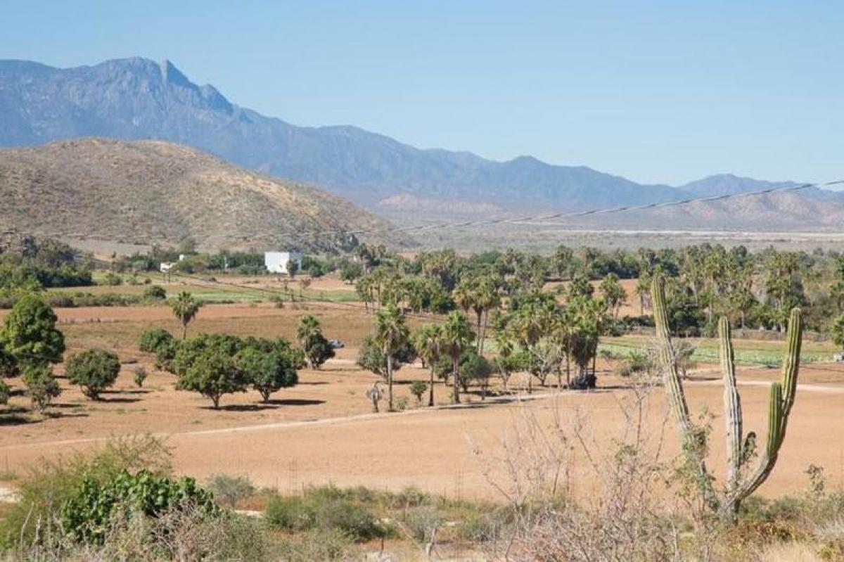 Picture of Residential Land For Sale in Baja California Sur, Baja California Sur, Mexico