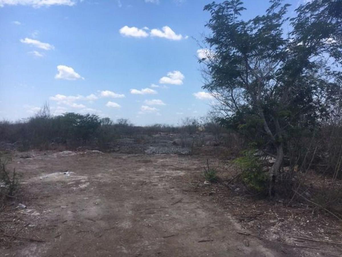 Picture of Residential Land For Sale in Halacho, Yucatan, Mexico