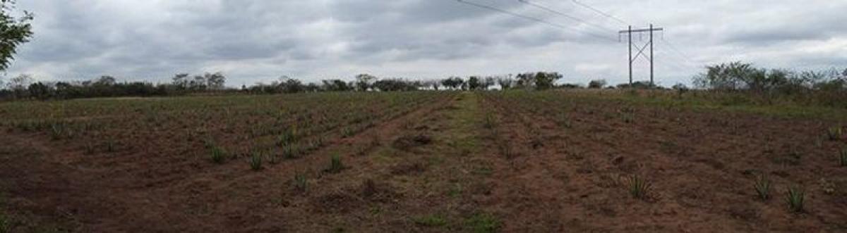 Picture of Development Site For Sale in Veracruz De Ignacio De La Llave, Veracruz, Mexico