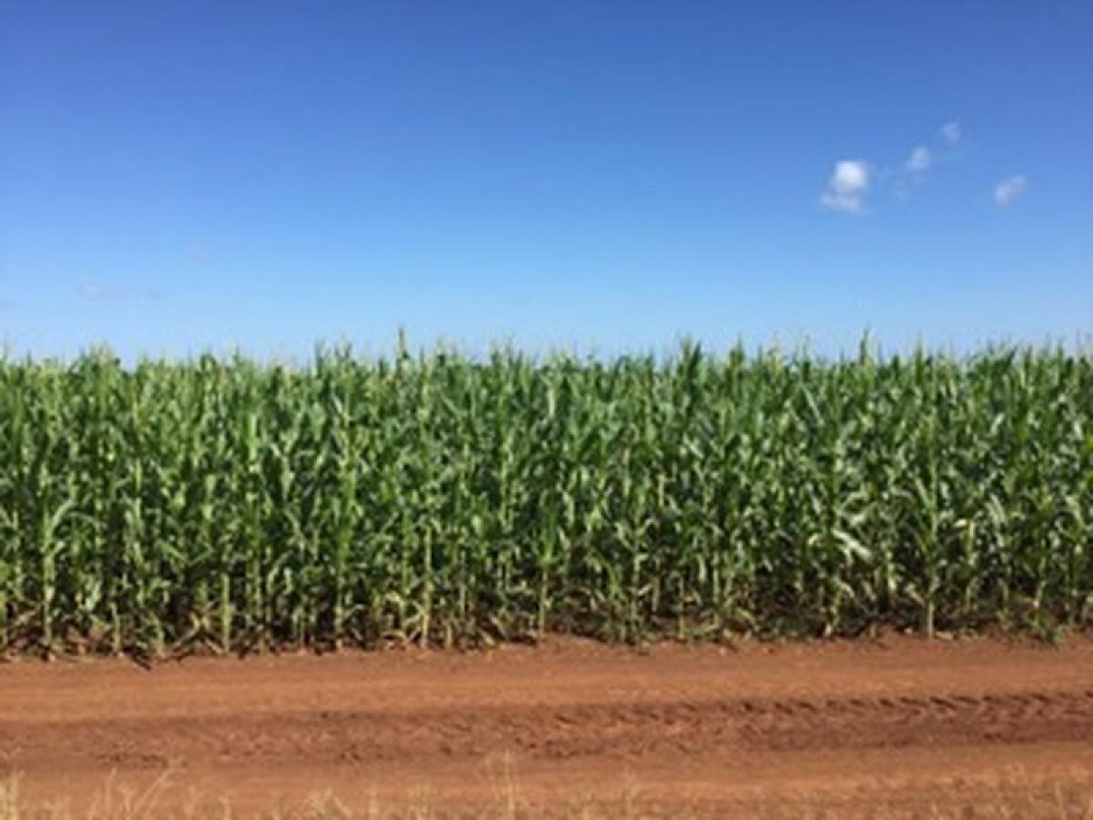 Picture of Development Site For Sale in Campeche, Campeche, Mexico