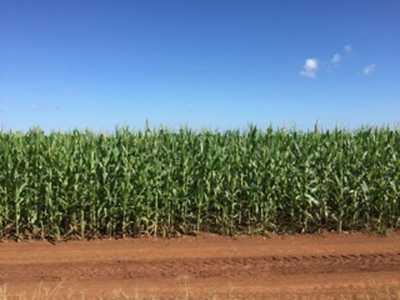 Development Site For Sale in Campeche, Mexico