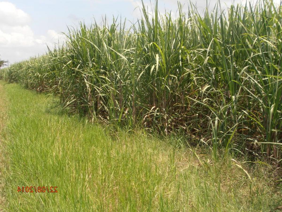 Picture of Development Site For Sale in Veracruz De Ignacio De La Llave, Veracruz, Mexico