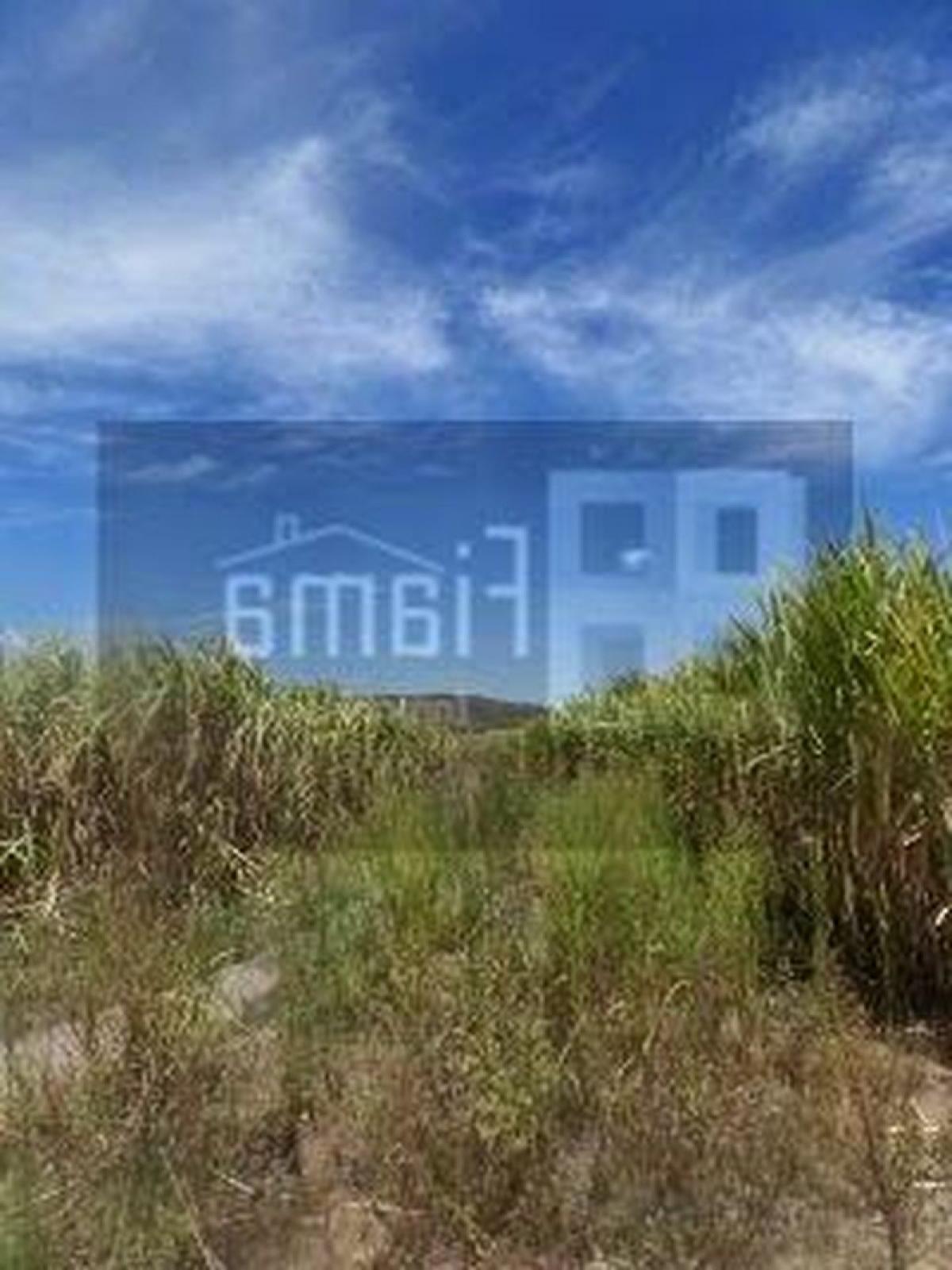 Picture of Development Site For Sale in Nayarit, Nayarit, Mexico