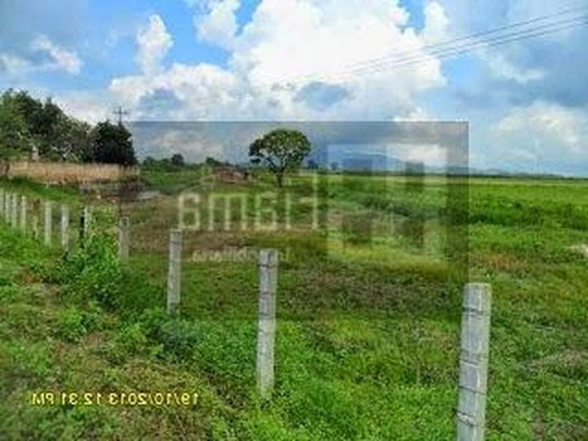 Picture of Development Site For Sale in Nayarit, Nayarit, Mexico