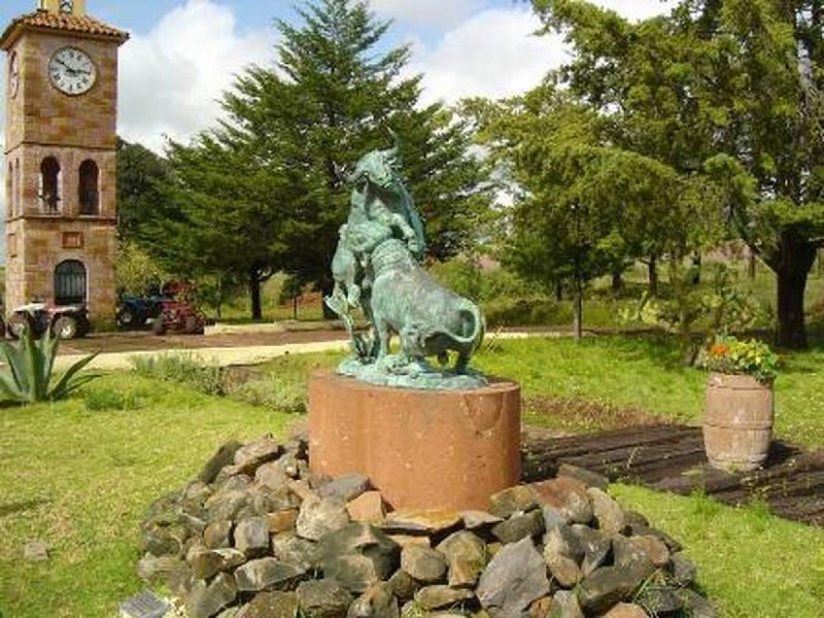 Picture of Development Site For Sale in Jiquipilas, Chiapas, Mexico