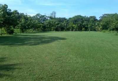Residential Land For Sale in 