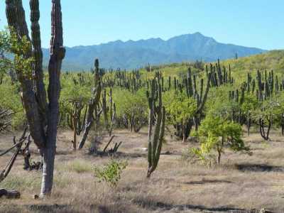 Residential Land For Sale in Baja California Sur, Mexico