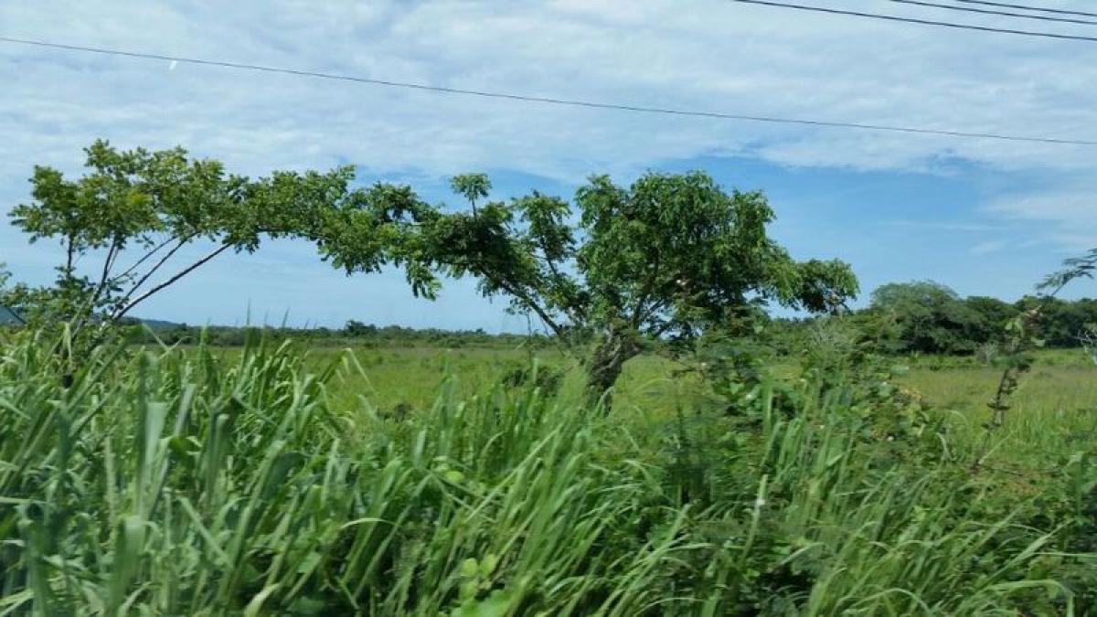 Picture of Residential Land For Sale in Compostela, Nayarit, Mexico