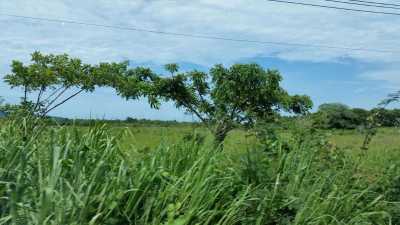 Residential Land For Sale in Compostela, Mexico