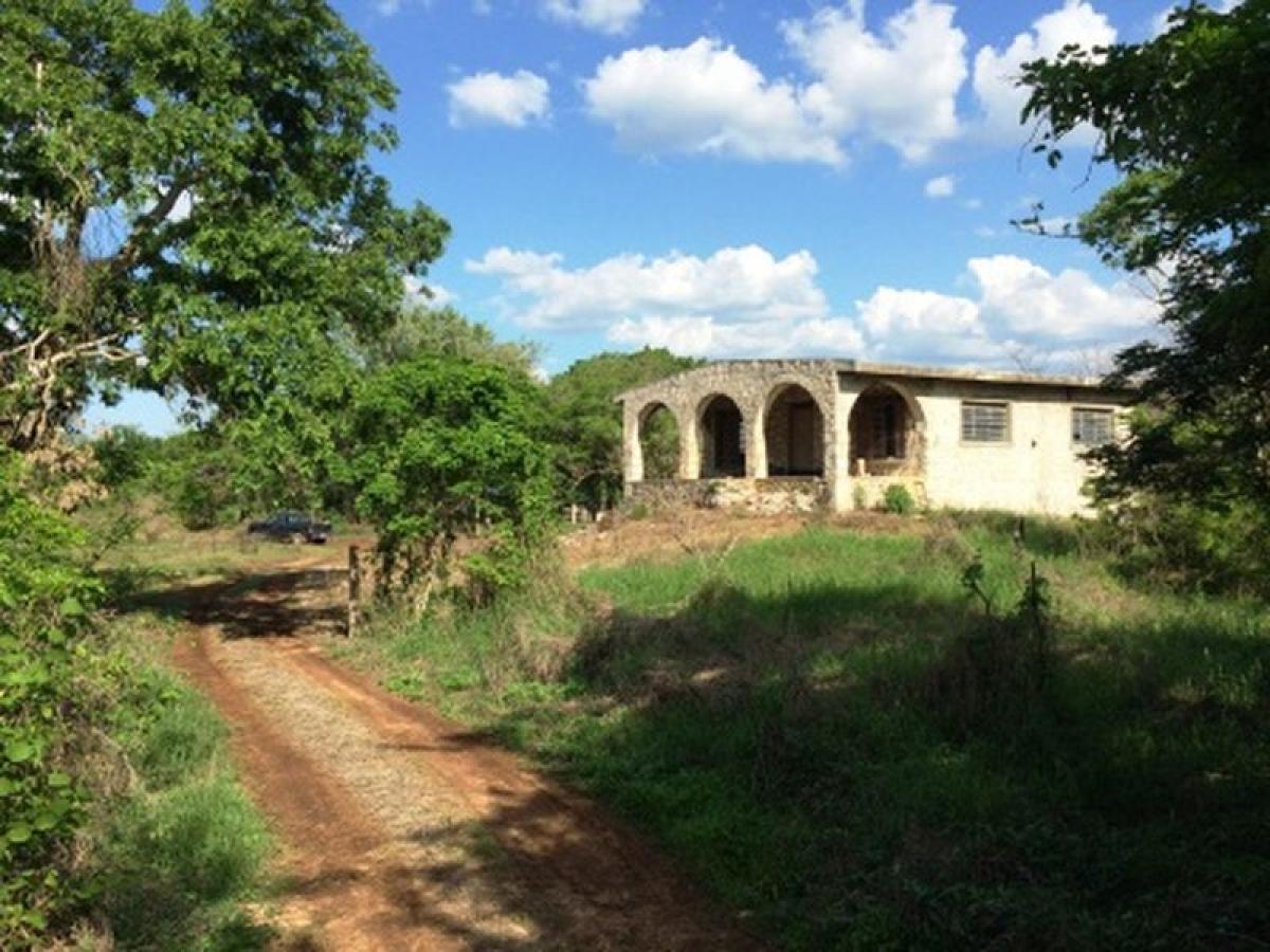 Picture of Development Site For Sale in Yucatan, Yucatan, Mexico