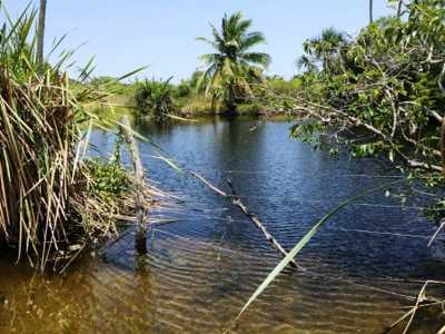 Development Site For Sale in Panaba, Mexico