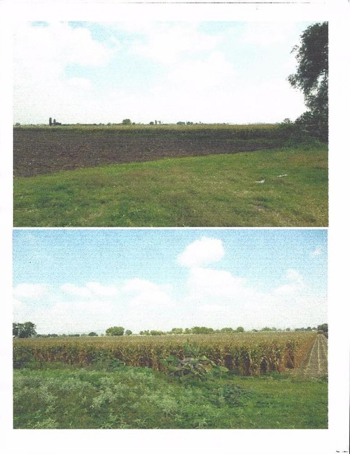 Picture of Development Site For Sale in Guanajuato, Guanajuato, Mexico